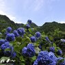 青空と、山を見て