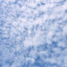 秋空高し