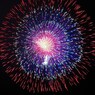 単発の華-18