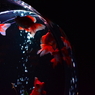 artaquarium