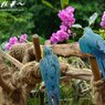遠くを見て