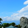 隠れちゃったよ富士山