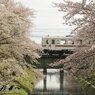 花読列車