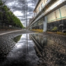 雨道