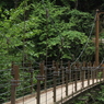 橋