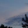 月　雲　松　