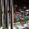 DSC00534