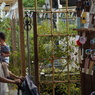 DSC00535