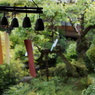 DSC00618