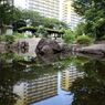 横浜の高層住宅団地で。