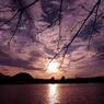 夕日