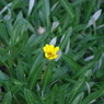 IMGP0199