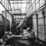 _R029691