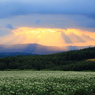 光芒と雨雲迫る夕暮れの丘