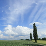 駆け抜ける夏空