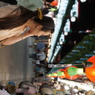 DSC00864