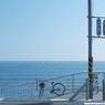 海