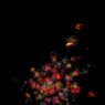 i00356