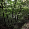 【分杭峠】