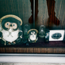 WINDOW DISPLAY-01