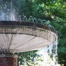 IMGP0361