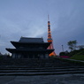 光る巨塔