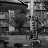 キノコ公園