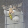 くんくん。。。？