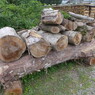 P1000684