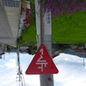 P1000699