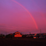 振り返るとRainbow