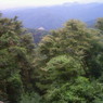 森と山