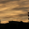 IMG_6372