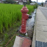 P1000701