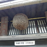 P1000809