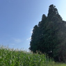 P1010141
