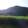 P1010149