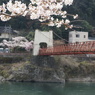 DSC0007