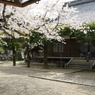 DSC0011