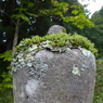 P1010782