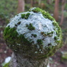 P1010793
