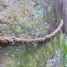 P1010542