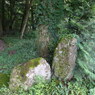 P1010564