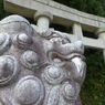 P1010687