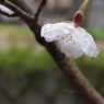 雨・哲学道