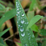 雨上がり