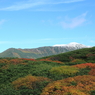 青空と雪と紅葉