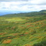 旭岳・御田の原～紅葉俯瞰