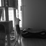 ネコの居る日常 - 5