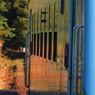 光列車